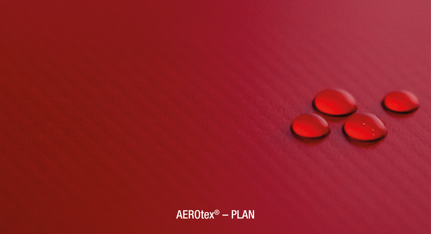 PLAN (Plane)